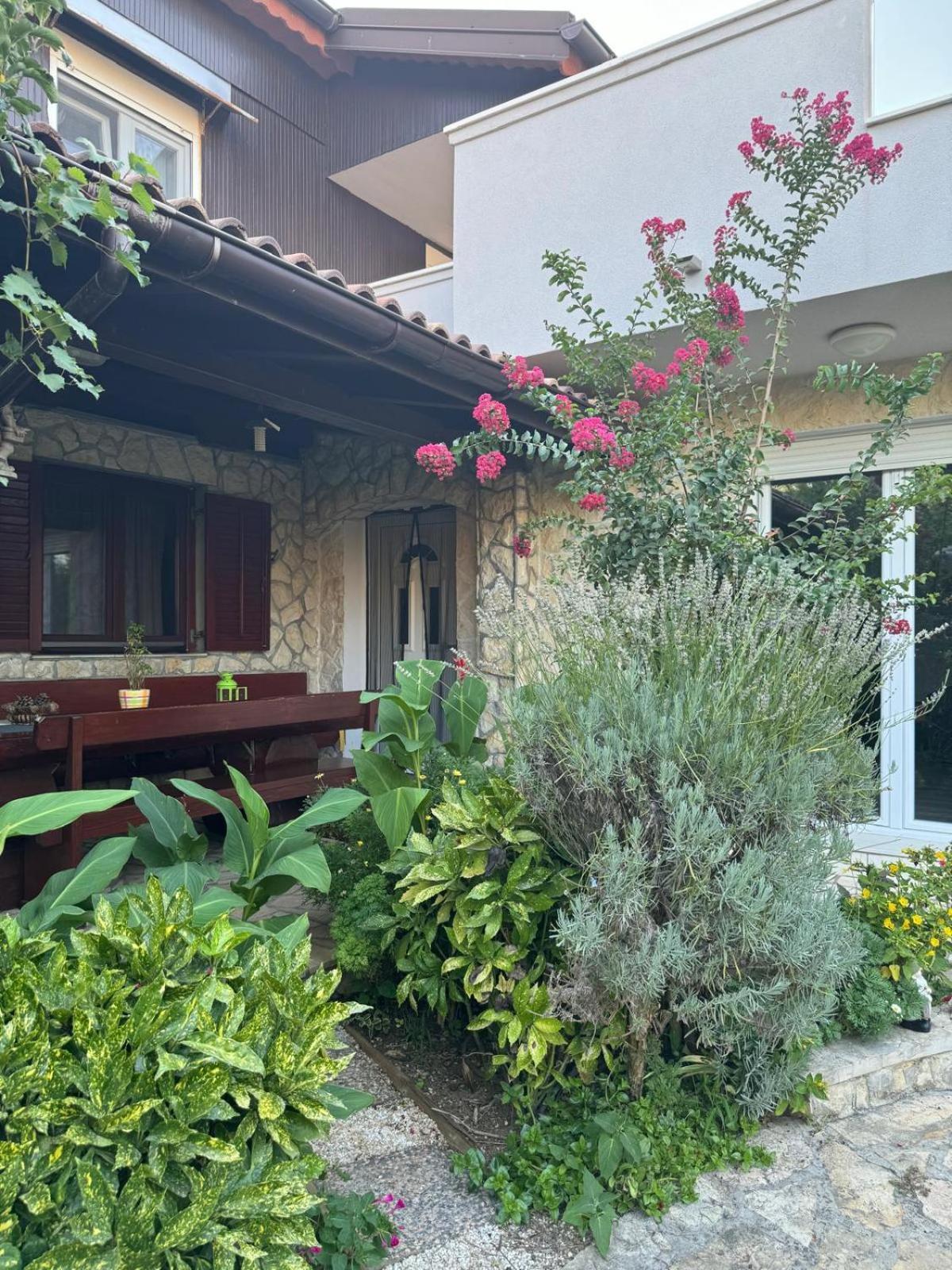 Holiday House K&K 普利拉卡 外观 照片